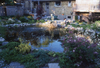 养花种草系列223：如何给后院设计水池