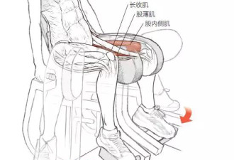 跑者如何保持膝关节稳定性？这个部位不可忽视