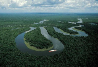 亚马逊河底藏着一个杀手江湖:食人鱼只排第三