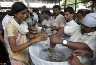 印度哮喘病患者生吞活鱼治疗 秘方延续至今