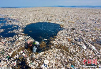 世界自然基金会：地中海恐将成为“塑料之海”