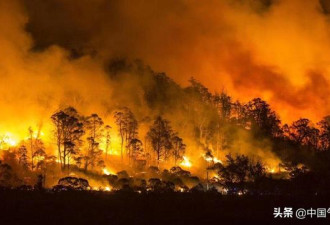 澳洲山火再烧下去 我国的冬天就要没了？