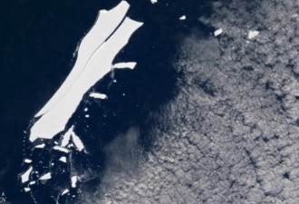 脱离南极洲18年 大冰山漂近赤道将消失