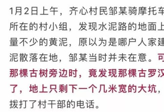 江西一百年古树被盗！盗贼惦记了它16年