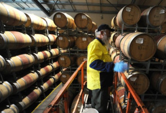 澳鼓吹中干涉内政,致葡萄酒对华出口受阻