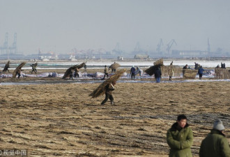 海岸伤疤:40张照片带你了解中国10年围海造地