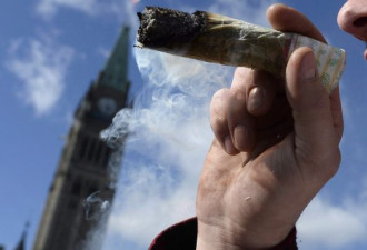 公务员办公派对可以喝酒抽大麻？不行！