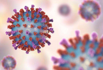 新冠病毒与SARS入侵细胞机制相同说明什