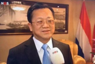 中国驻荷兰大使就光刻机问题回击美大使