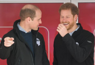 哈里与哥哥威廉王子密谈后 和解两年积怨