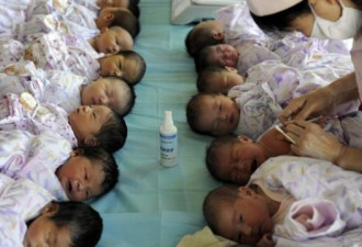 新政实行以来，去年中国新生婴儿比前年少88万