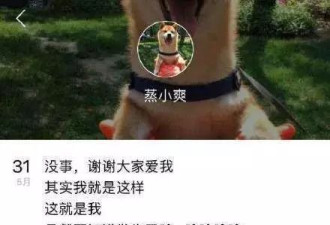 郑爽发飙刷好感，撒贝宁张一山人设崩？