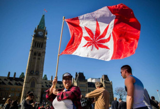加拿大参议院通过大麻合法化法案 9月正式生效