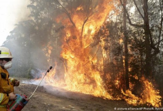 澳洲林火火势加剧 “灾难看不到尽头”