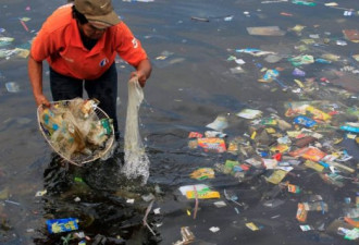 世界环境日： 环保团体发表 “零塑料” 声明