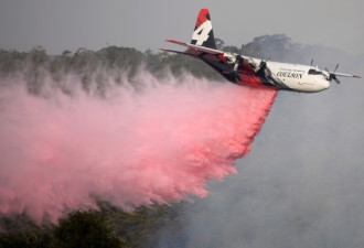 加拿大C-130大力神飞机澳洲灭火时坠毁死三人