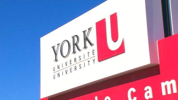 York University