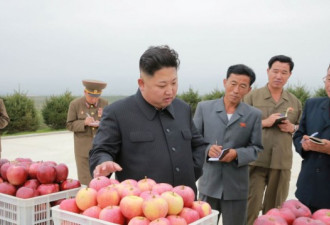 学者：朝鲜达到核武目标 下一步是发展经济