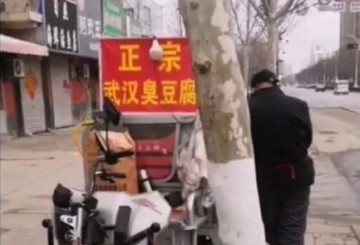 我为什么会疯？这就要从一只蝙蝠说起…