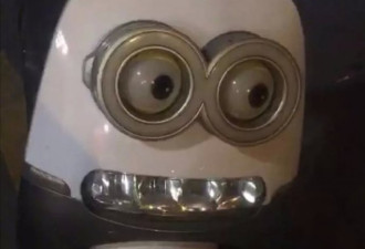 我为什么会疯？这就要从一只蝙蝠说起…
