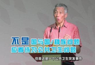 一些国家出现“排华”现象，李显龙发声