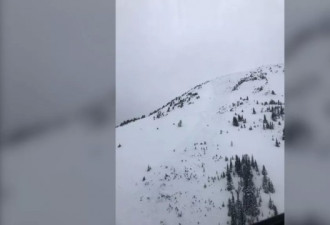 UBC女博士滑雪遇雪崩，遭活埋惨死 丈夫崩溃!