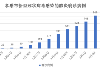 武汉外的湖北孝感：确诊病例超40倍速度增长