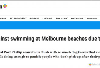 别下水游泳了！墨尔本海滩满是狗屎！