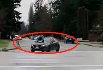 牛逼！男子不怕死直接跳上私家车顶！