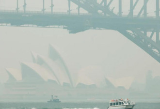 山火浓烟有多可怕？悉尼95天空气质量爆表
