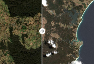 7张卫星图像对比照 直观新州山火留下的伤疤