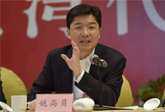 “全程脱稿，数据明确”温州市市长冲上热搜