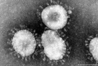 武汉新冠病毒死亡升至56人 感染者超2000人