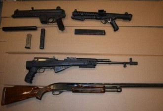 多伦多警方搜出大量枪支和可疑爆炸物