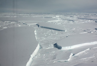 “南极血流不止”冰层消融的速度越来越快