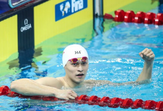 !国际泳联系列赛,孙杨200米自由泳夺冠!