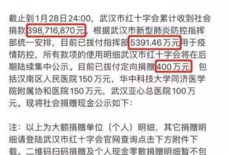 武汉新冠状肺炎事未了，韩红真实身份曝光