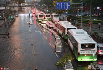 青岛狂风暴雨来袭，海鲜们被吹的满天飞