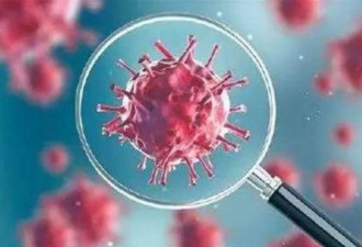 无稽之谈!法国学者怒斥新冠病毒含艾滋基因序列