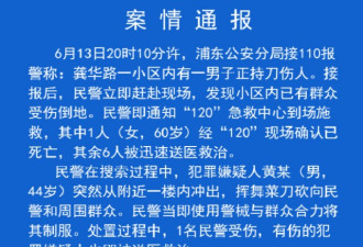 上海发生持刀伤人案 包括嫌犯在内3人死亡