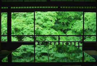 拍下了夏天的京都，满足了很多人对日本的幻想
