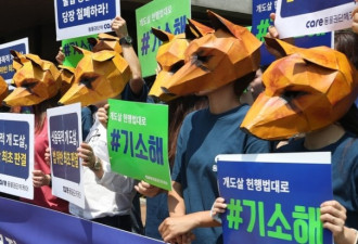 替禁食狗肉铺路 韩国法院判决：为肉杀狗违法