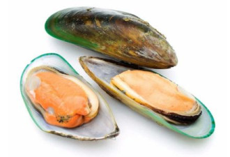 英国这款畅销海鲜全都含塑料微粒，你还吃吗