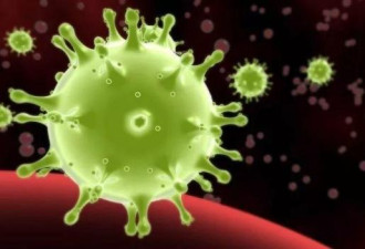 新型病毒传染远强于SARS！没症状也传人