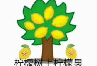 5.9亿别墅壕出天际 连汽车都有专属电梯