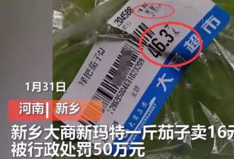 蔬菜价涨近700%!黄瓜1斤88元 大批超市被重罚