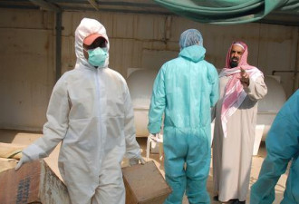 沙特爆发H5N8高危禽流感 已致超2.2万只鸟死亡