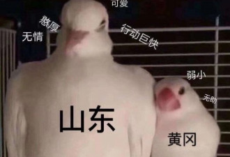 副省长带队,山东搬家式支援湖北也太实在了…