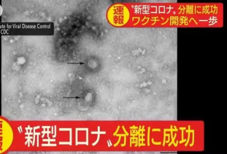 日本分离新型冠状病毒 天空树点亮中国红