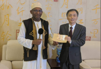 非洲岛国科摩罗捐助100欧元支持中国抗疫